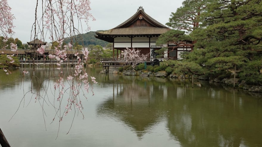 undefined-Apr-13-2026-12-07-24-4134-PM