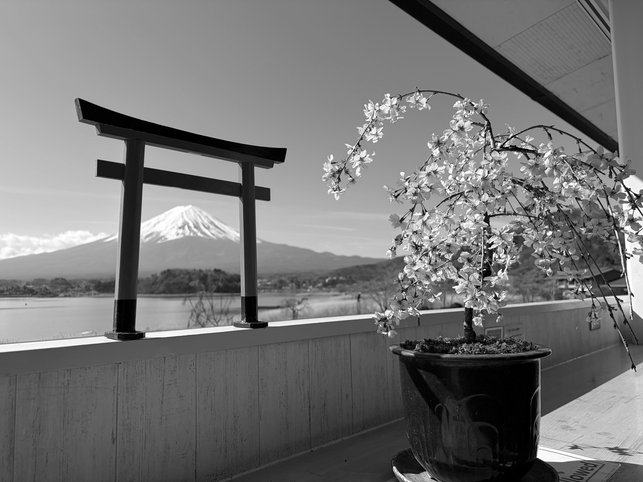 What Anthropic's Mythos AI Model Actually Means for Defenders: And Why the Window Is Closing